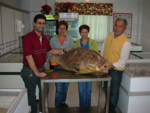 Origen de Congelados Tauro S.L.